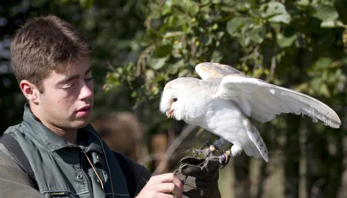 wim meijer fotografie roofvogels1