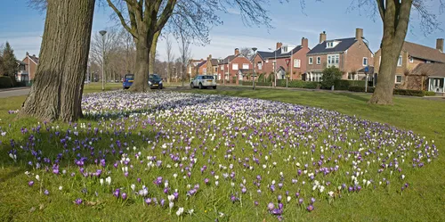 wim meijer fotografie warande panorama1