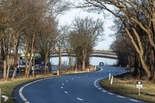 zeeweg natuurbrug 19 febr 21