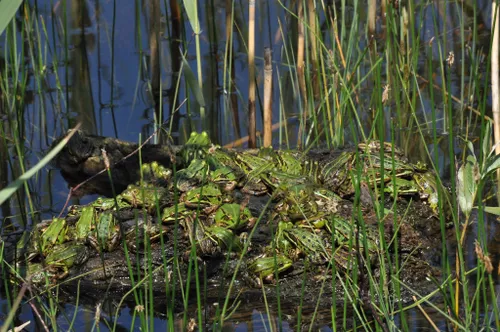 53417265 309902073056613 118865105407442944 n