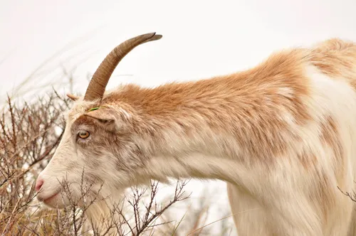 57362486 361220584488769 2757346279360036864 n