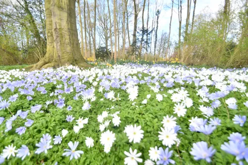 83513864 2969211436430867 1535873364382449664 n