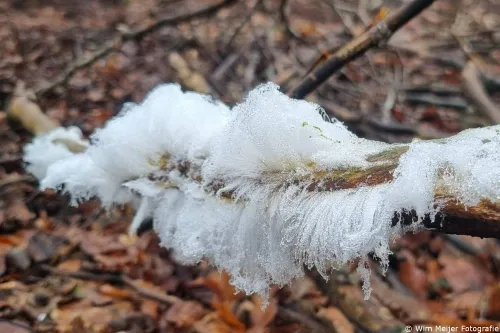 whatsapp image 2025 01 21 at 210643 1