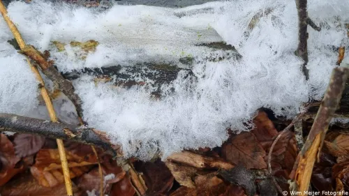 whatsapp image 2025 01 21 at 210643