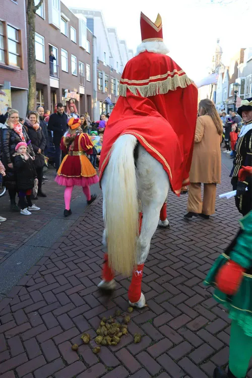 3z1a9073-pepernotenkanon