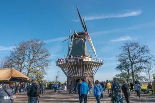ART Molen