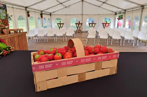 eerste aardbeienslof