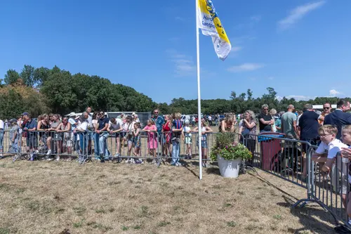 Vlag en publiek
