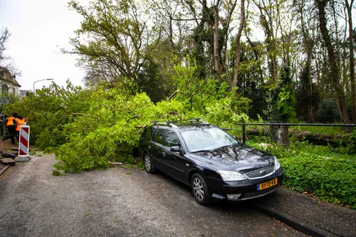 04 mei 2021 nieuwsfoto bloemendaal 01
