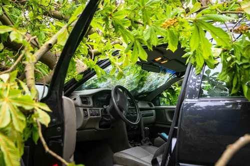 04 mei 2021 nieuwsfoto bloemendaal 05