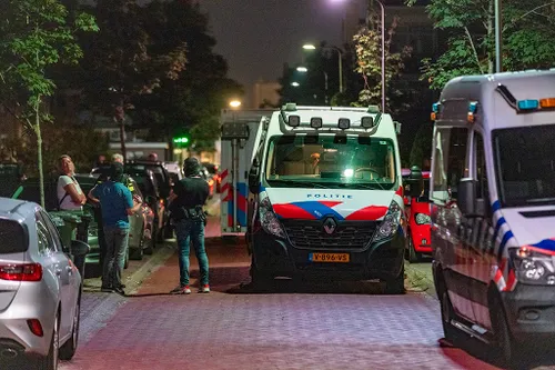 20220823 dode ijmuiden 01