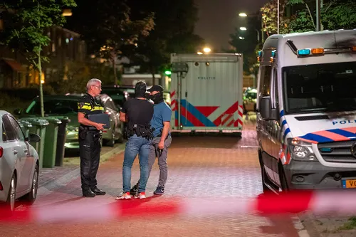 20220823 dode ijmuiden 03