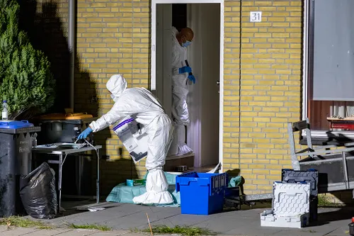 20220824 dode ijmuiden 10