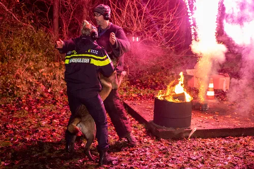 20221222 vuurwerk politiehonden 03