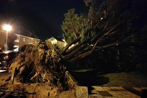 274364157 7284682444883200 5253662605385356836 n