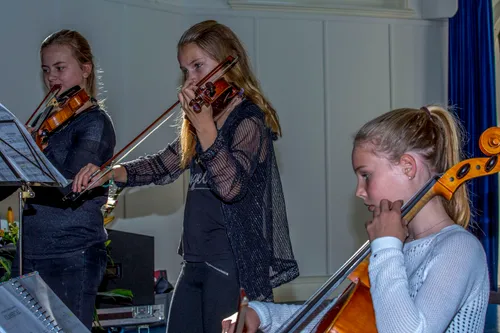 3 violistes
