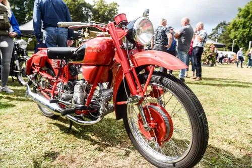 305655862 5328826060549950 637287122478216624 n