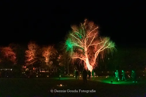 313409750 482176613890518 5310185036763722122 n