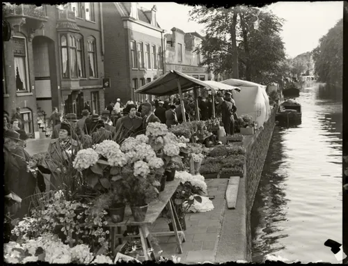 59f5f901 3ace 007b 412e 1468446c6eee 0 scaled