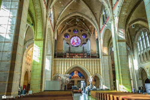 bavo basiliek1