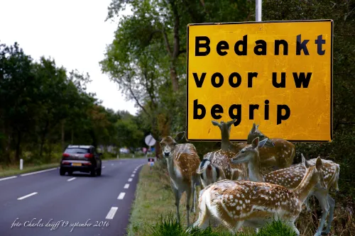 bedankt