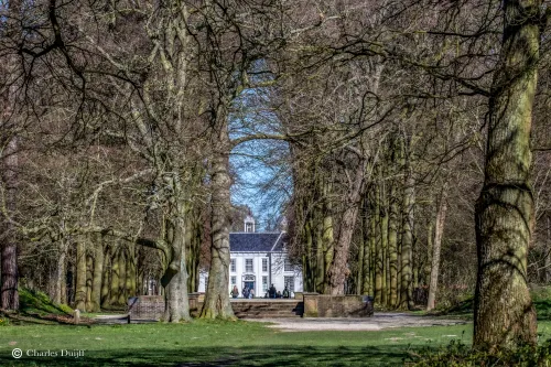 beeckestijn door bomen