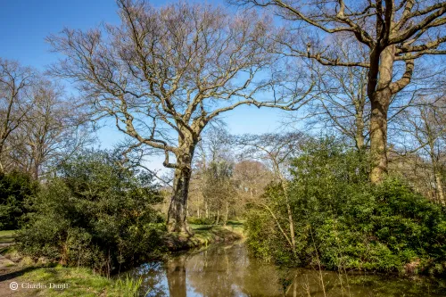 fraaie landschapsfoto