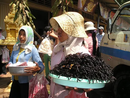 fried cambodia spider insect exotic tarantula eat 442