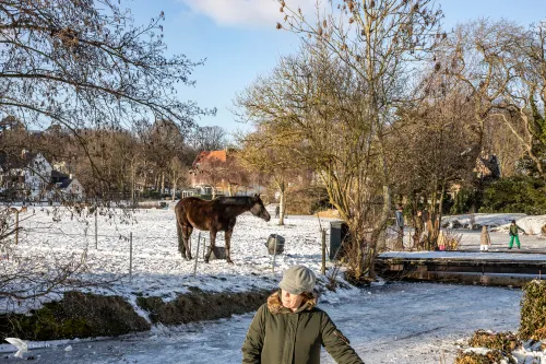 halve maan paard schaatsen
