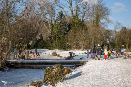 halve maan schaatsen brug