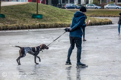 hond op ijs