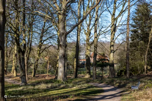 huis door bomen