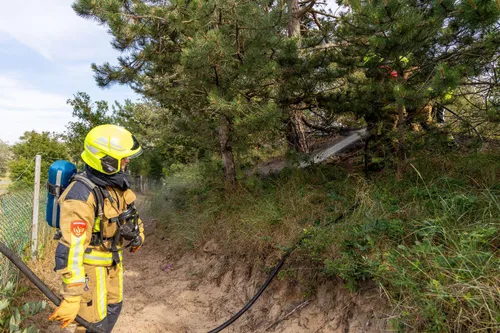 img 20230716 wa0062 1