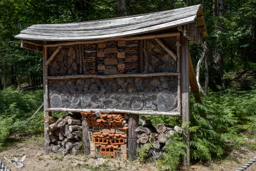 insektenhuis