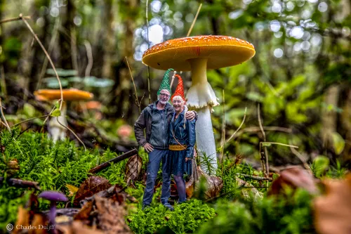 kabouter simon miep kl