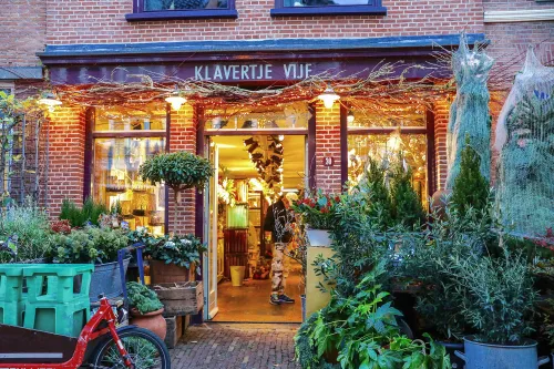 klaver v 2