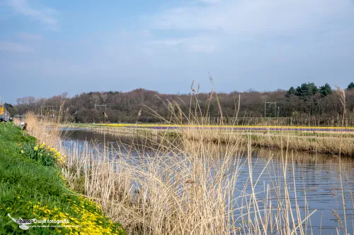 l vaart bij vogelenzang