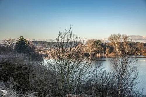 meer achter struiken