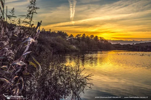 meer bij bokkedoorns1