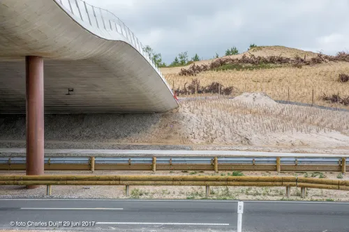 natuurbrug beplanting