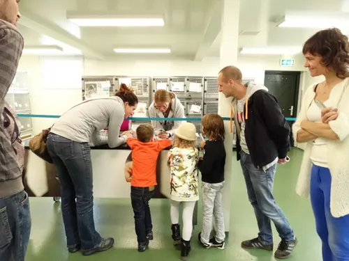 open huis vogelhospitaal foto vogelhospitaal