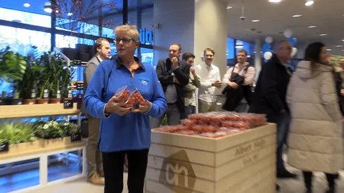 opening ah snapshot 03