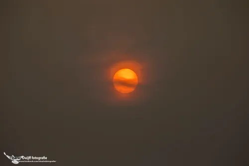 orange sun 2