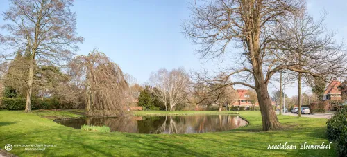 panorama acacialaan bldaal