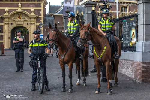 politie te paard