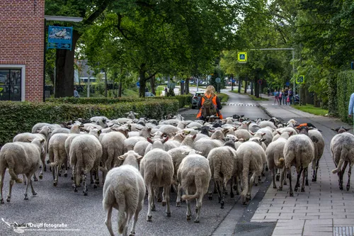 richting hstede aerdenhout