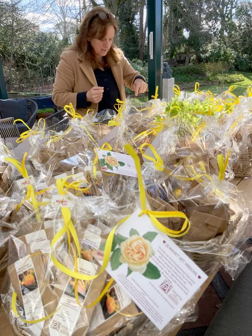 rose day 2021 zontian relinde in voorbereiding scaled