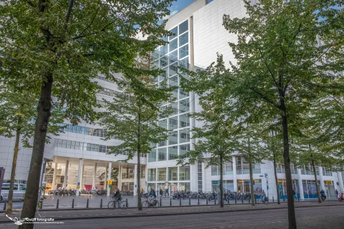 stadhuis den haag