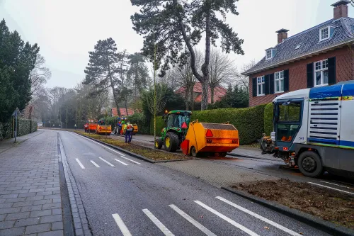 stoet1
