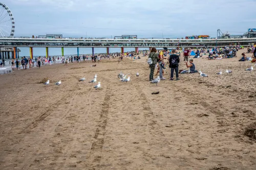 strand scheveningen2
